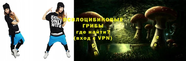 PSILOCYBIN Верея