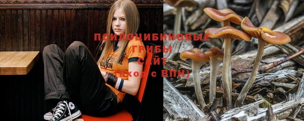 стаф Бронницы