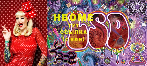 PSILOCYBIN Верея