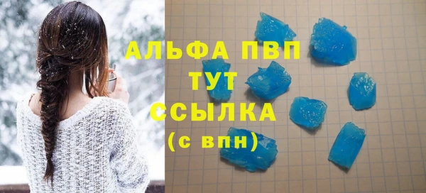 PSILOCYBIN Верея