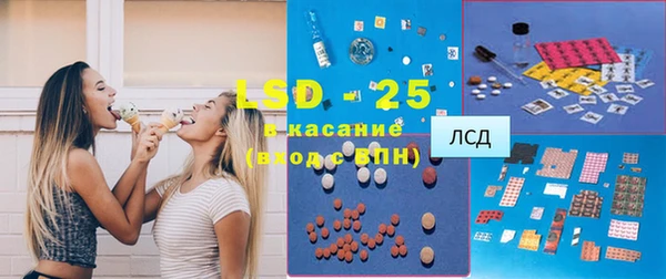 PSILOCYBIN Верея