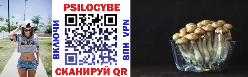 Купить где Цоци-Юрт Псилоцибиновые грибы прущие грибы
